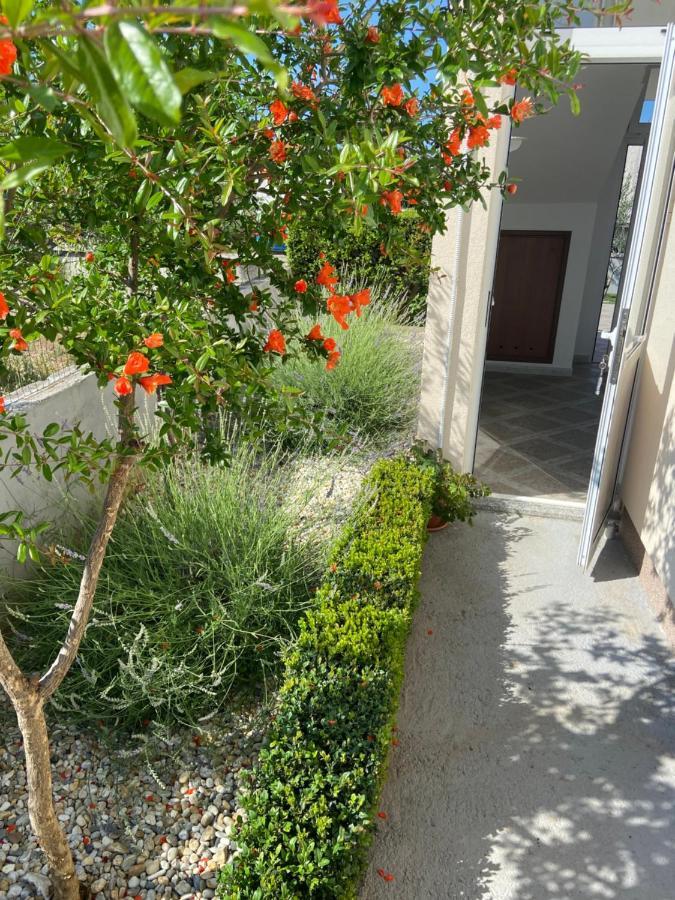 Apartman Danijela Vodice Bagian luar foto